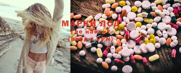 прущие грибы Абинск