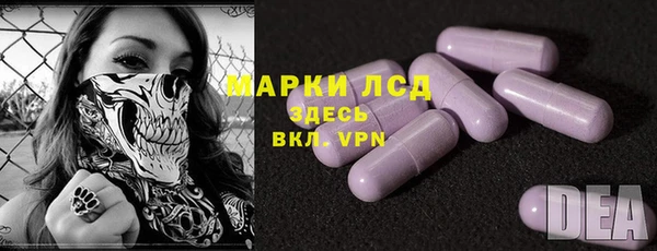 прущие грибы Абинск